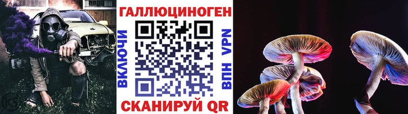 Галлюциногенные грибы Psilocybine cubensis  Купить закладки  Тайга 
